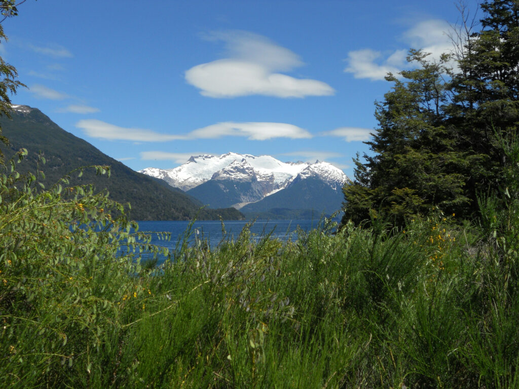 Patagonien Dezember 2013. Park Los Alerces mit Blick auf die Anden